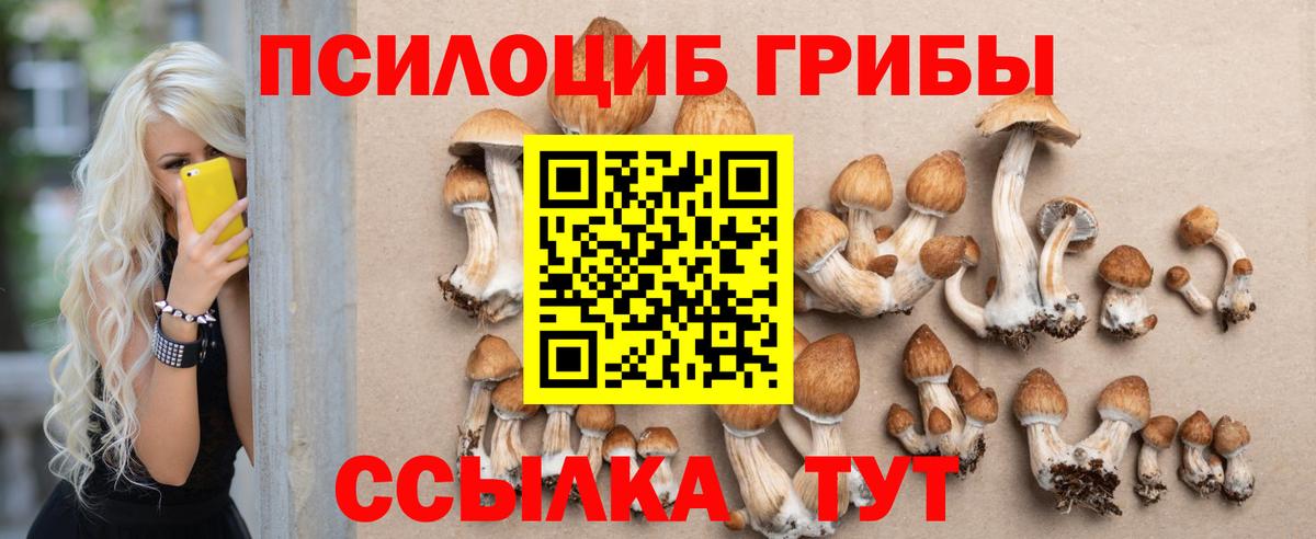 Псилоцибиновые грибы Cubensis Южноуральск