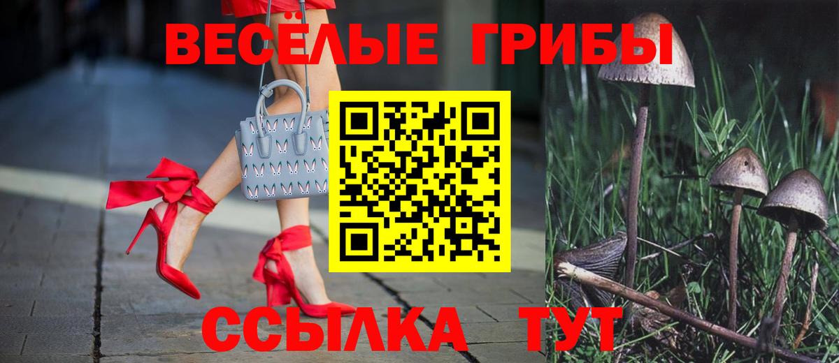 Южноуральск  Псилоцибиновые грибы Cubensis  Вход с VPN 